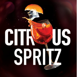 Табак Must Have Citrus Spritz 125 грамм