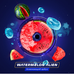 Паста Space Smoke ZERO Watermelon  Alien (Арбуз с  холодком) 30 гр